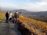 Balade Mont Brouilly. Geopark visite avec guide de pays